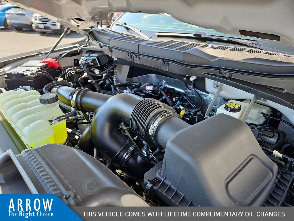 New 2026 Ford F150 STX w/ Equipment Group 200A RWD image 15