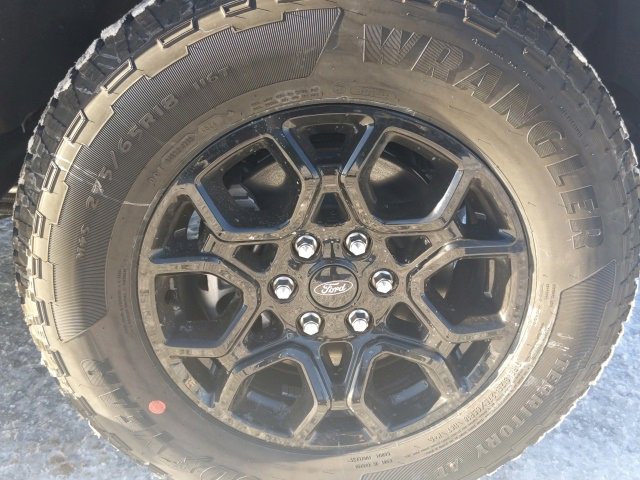 New 2025 Ford F150 XLT w/ Equipment Group 302A MID image 14