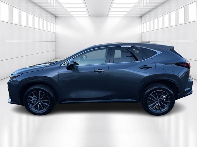 Certified 2023 Lexus NX 250 AWD image 8