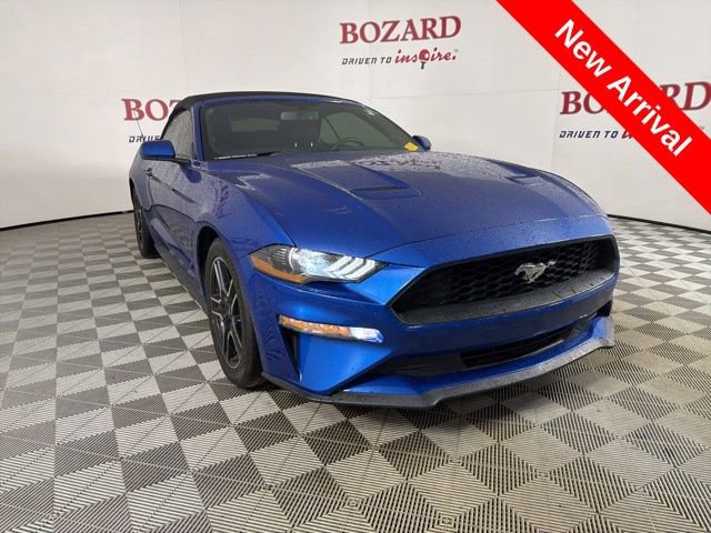 Used 2018 Ford Mustang Premium w/ Equipment Group 201A RWD image 1