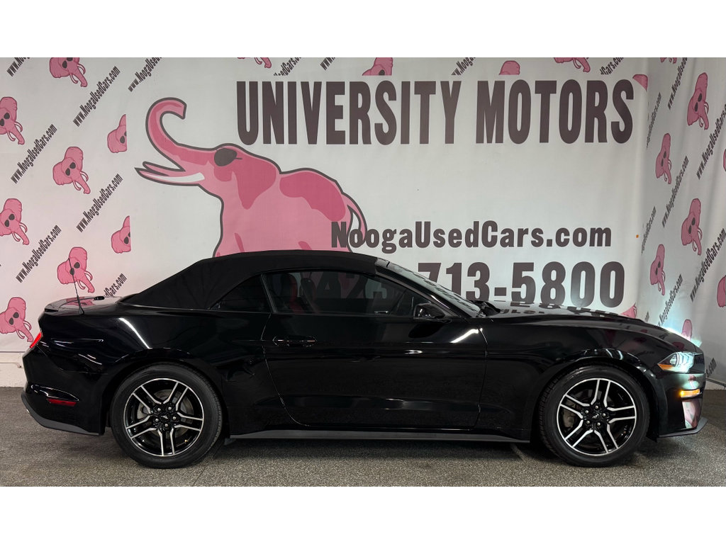 Used 2018 Ford Mustang Premium w/ Equipment Group 201A RWD image 11