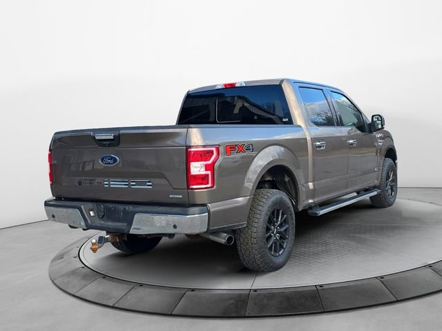 Used 2019 Ford F150 XLT w/ Equipment Group 302A Luxury image 5
