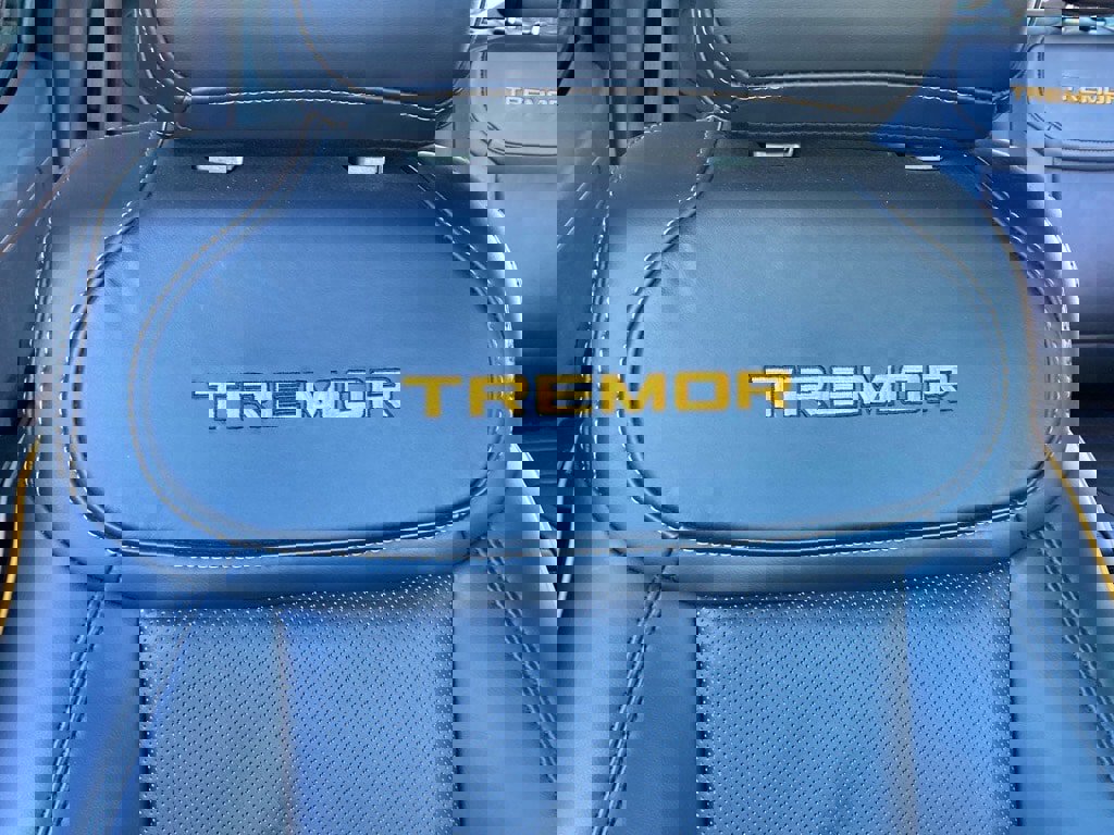 Used 2025 Ford F150 Tremor w/ Equipment Group 402A High image 29