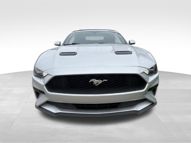 Used 2018 Ford Mustang Premium w/ Equipment Group 201A RWD image 9