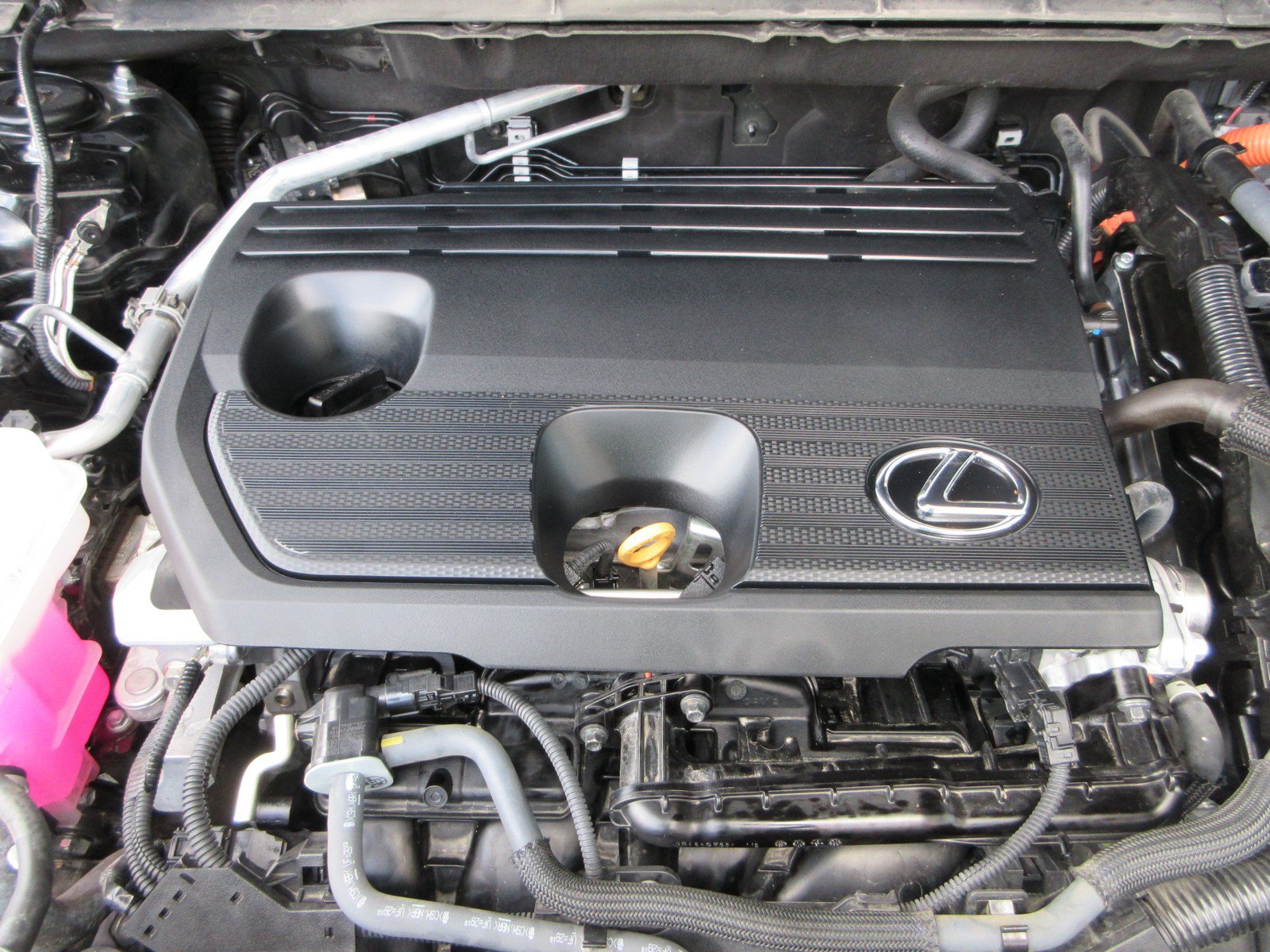 Used 2025 Lexus NX 350h AWD w/ Cold Area Package image 50