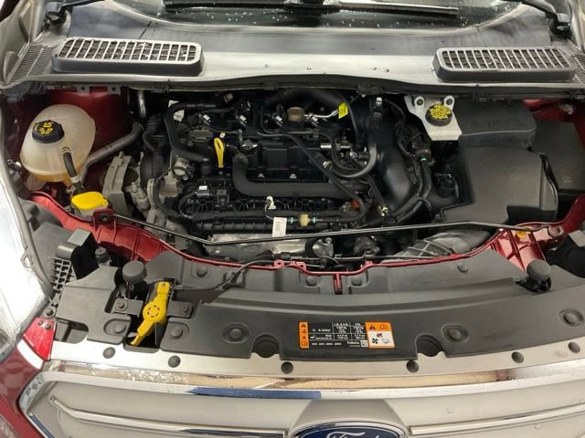 Used 2019 Ford Escape SE FWD image 44