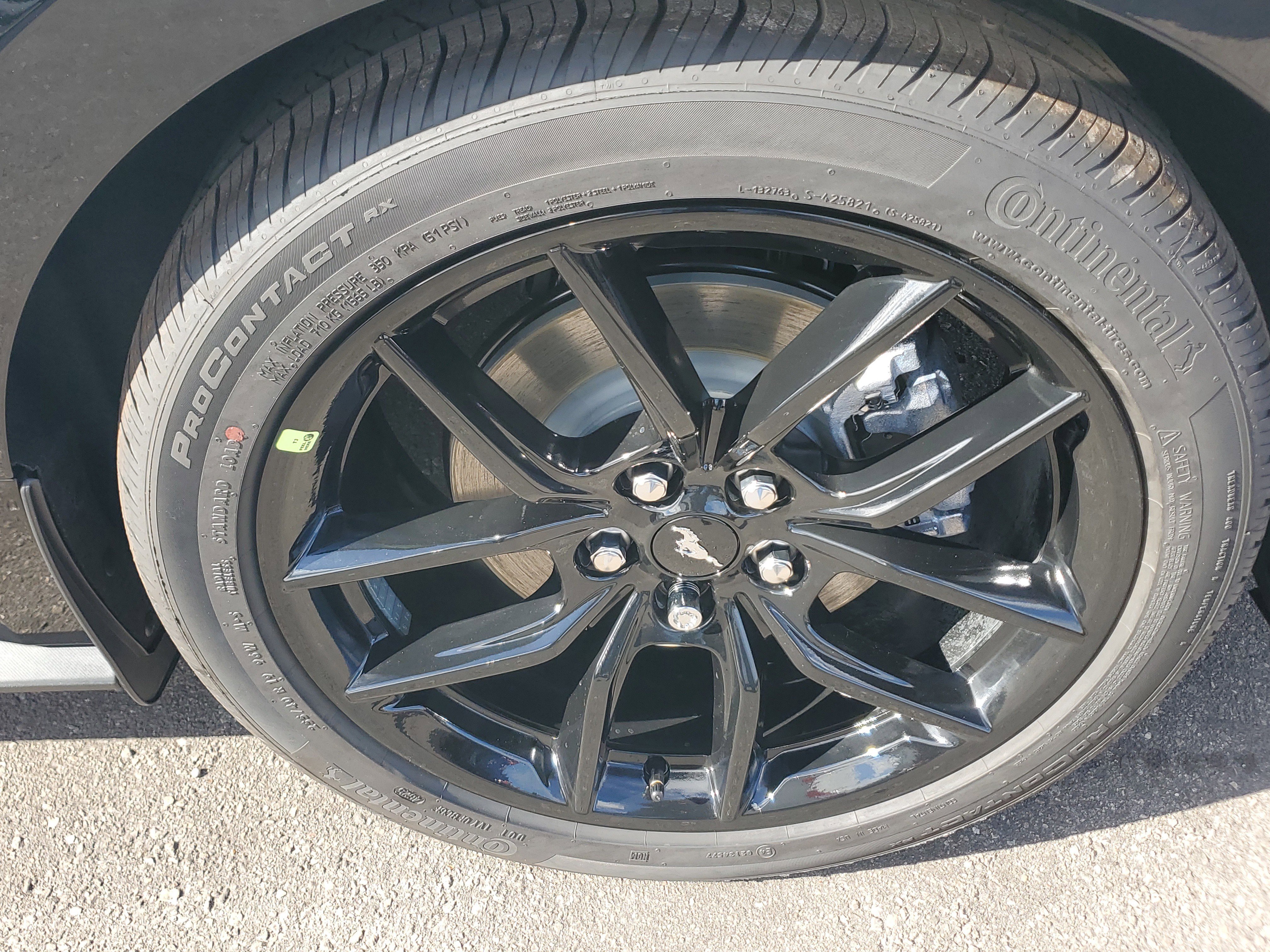 New 2026 Ford Mustang Premium w/ Mustang Nite Pony Package image 7