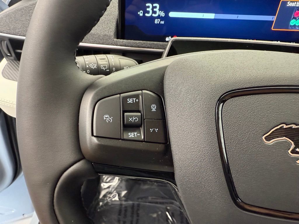 New 2025 Ford Mustang Mach-E Premium w/ Interior Protection Package image 46