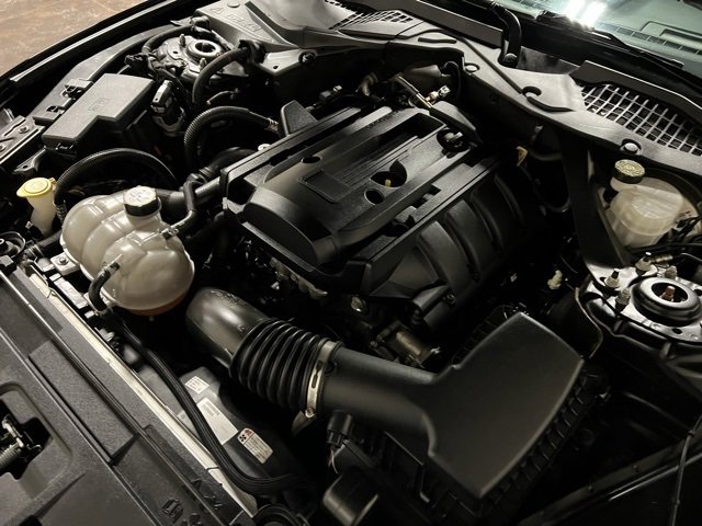 Used 2019 Ford Mustang Premium w/ Equipment Group 201A image 44