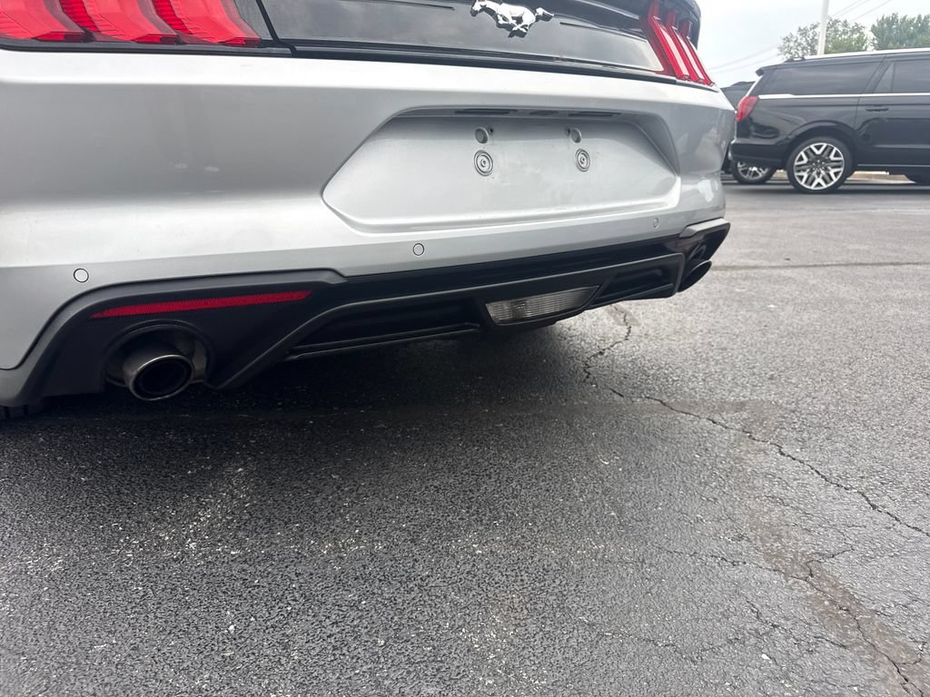 Used 2019 Ford Mustang Premium w/ Equipment Group 201A RWD image 12