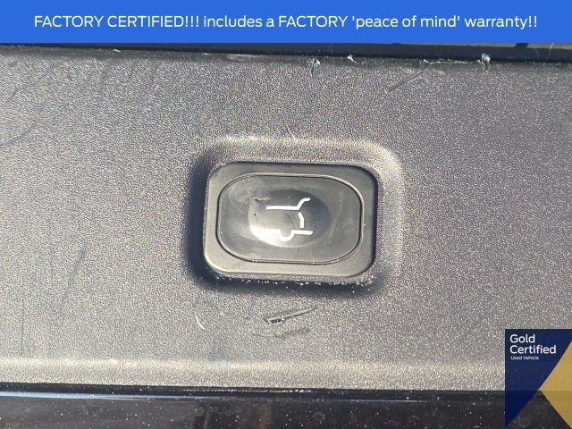 Used 2025 Ford Expedition Tremor AWD/4WD image 18