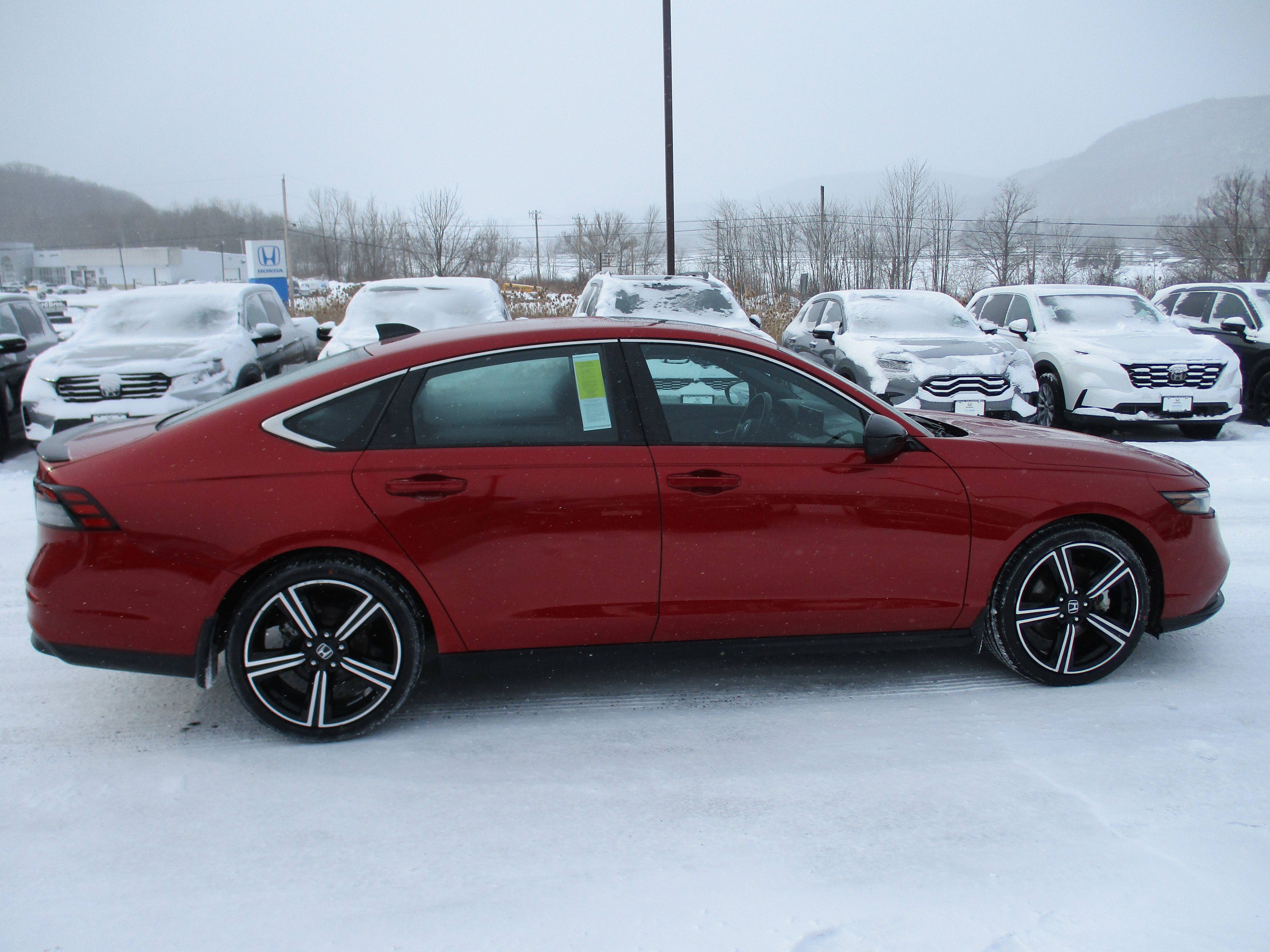 Certified 2023 Honda Accord Sport image 4