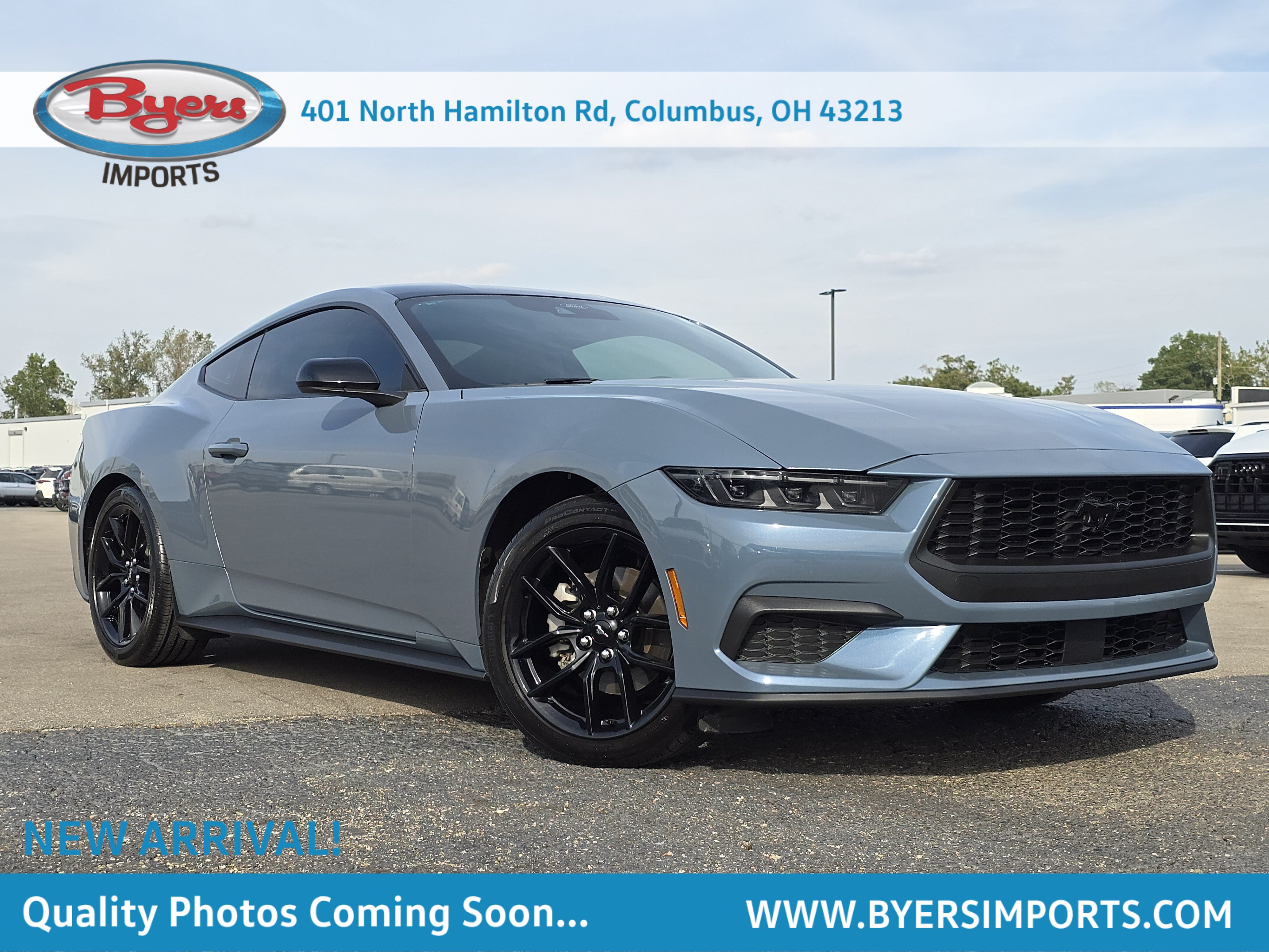 Used 2024 Ford Mustang Premium w/ Mustang Nite Pony Package