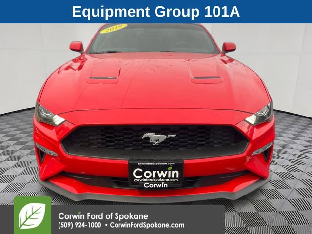 Used 2019 Ford Mustang Coupe w/ Equipment Group 101A image 7
