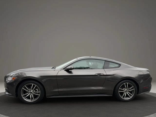 Used 2015 Ford Mustang Premium w/ Equipment Group 201A RWD image 8