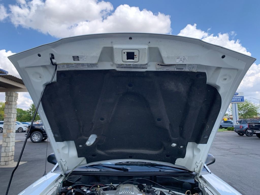 Used 1998 Ford Mustang Cobra RWD image 42