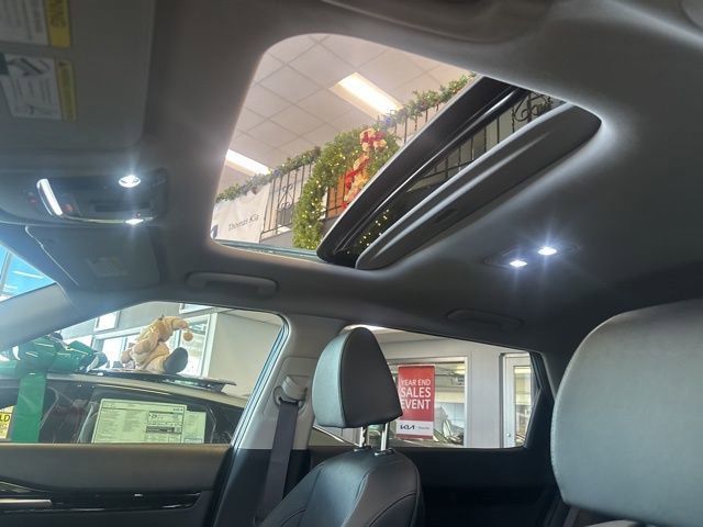 New 2026 Kia Seltos EX w/ EX Sunroof Package image 13