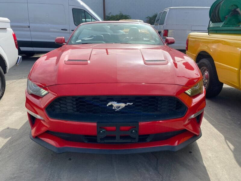 Used 2019 Ford Mustang Premium RWD image 2