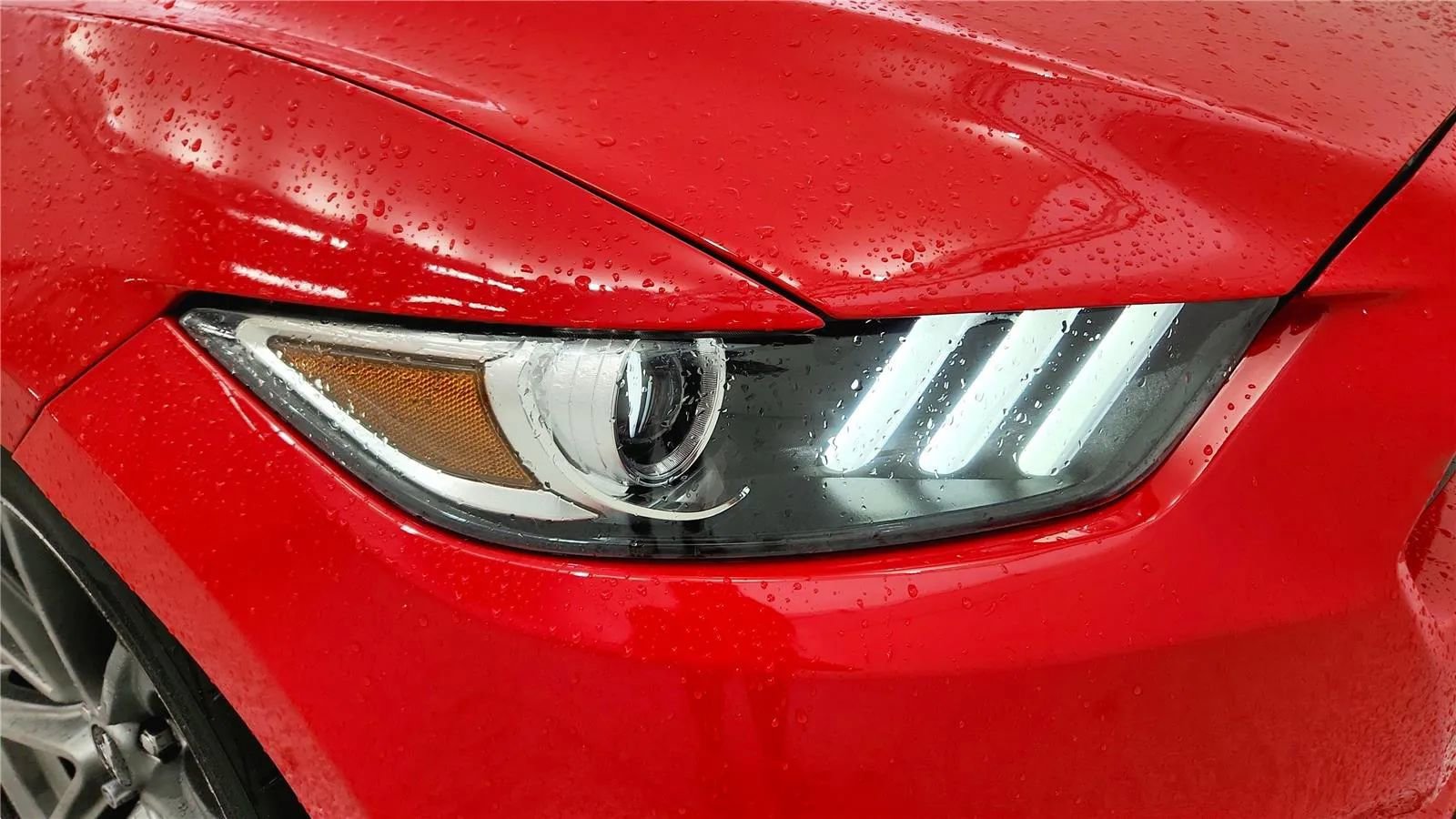 Used 2016 Ford Mustang GT Premium image 14