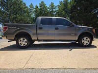 Used 2014 Ford F150 XLT w/ Equipment Group 302A Luxury image 5