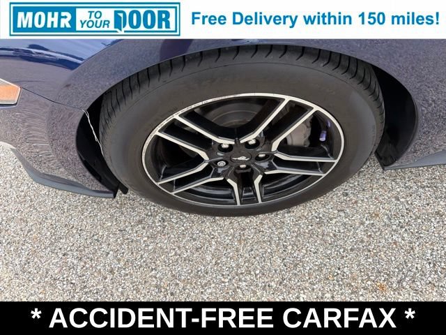 Used 2018 Ford Mustang GT Premium w/ Equipment Group 401A RWD image 11