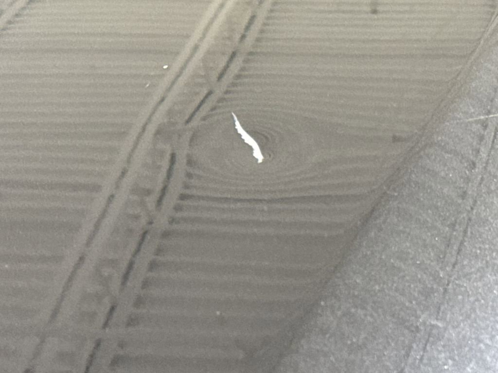 Used 2015 Chevrolet Silverado 1500 LT w/ All Star Edition image 34