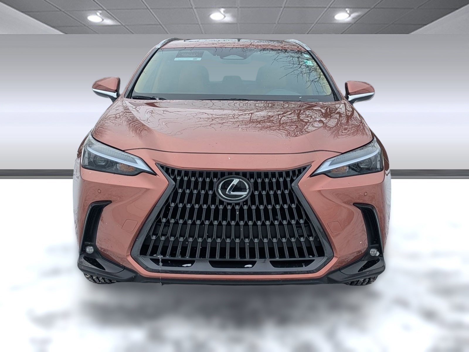 Certified 2025 Lexus NX 350 AWD image 6