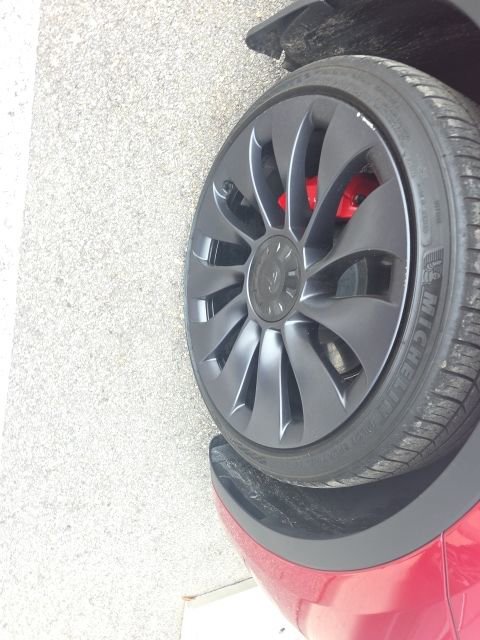 Used 2024 Tesla Model Y Performance image 2