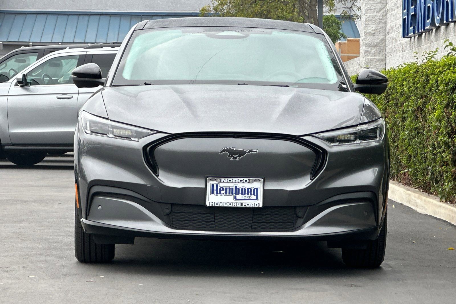 Used 2021 Ford Mustang Mach-E Premium image 9