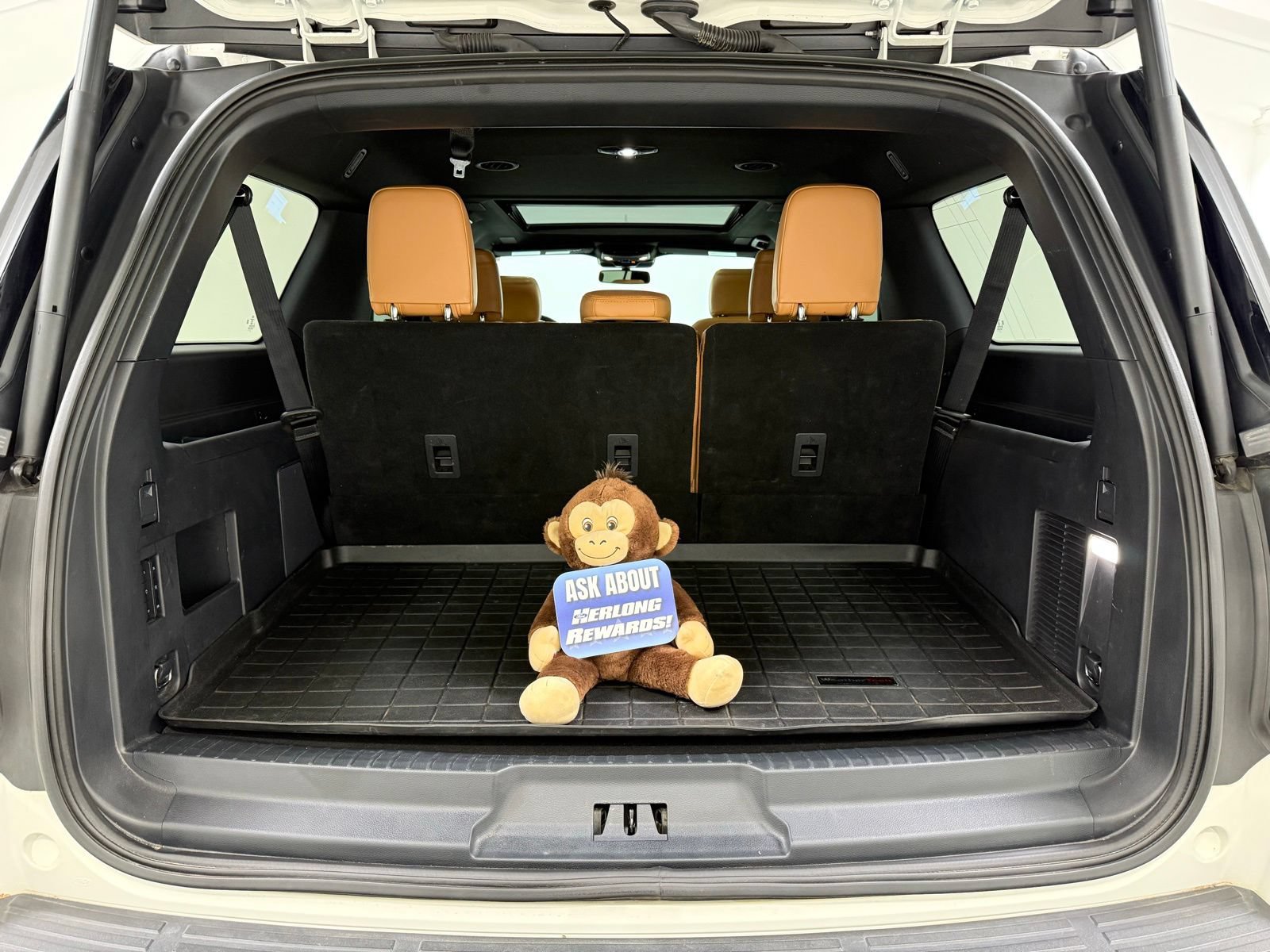 Used 2024 Ford Expedition Max Platinum AWD/4WD image 9