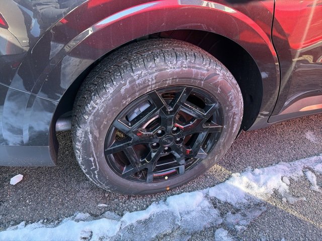 New 2026 Kia Carnival SX Prestige image 9