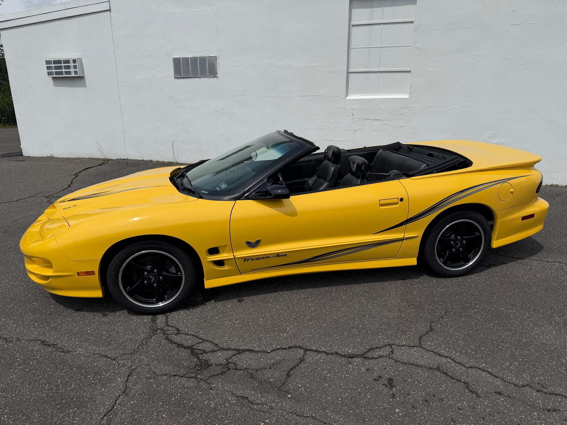 Used 2002 Pontiac Firebird Trans Am RWD image 9
