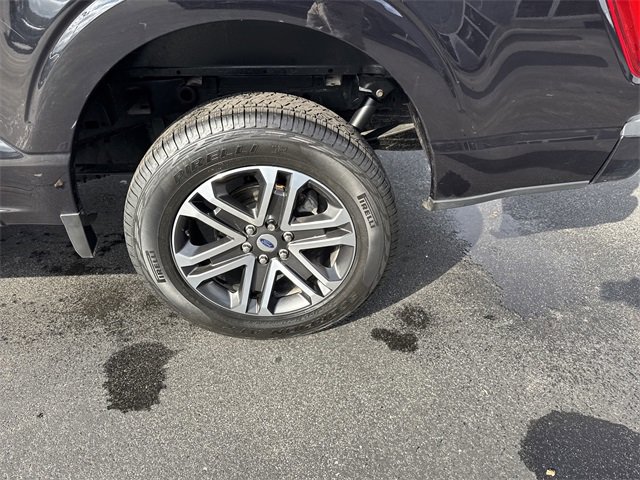 Used 2023 Ford F150 XL w/ XL STX Apperance Package image 7