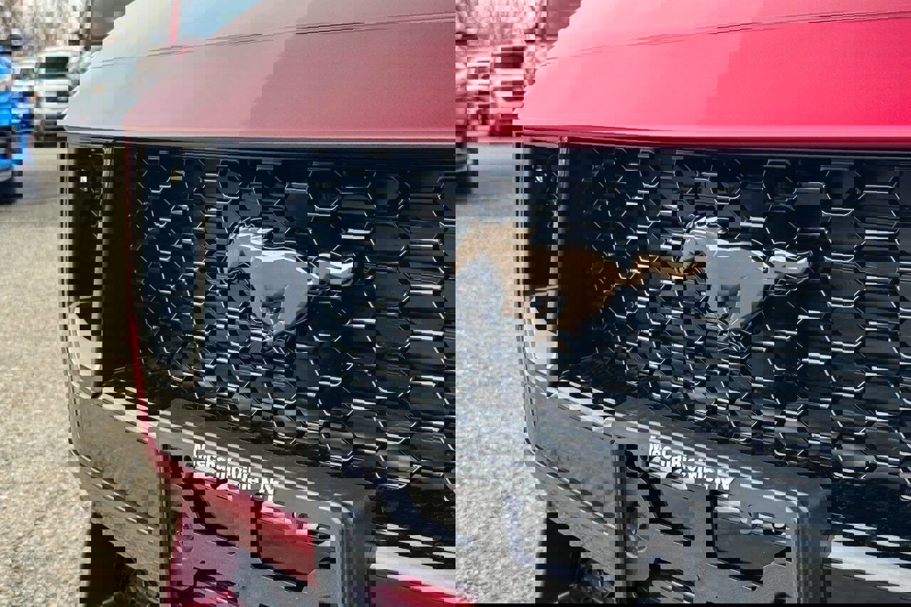 Used 2025 Ford Mustang GT Premium image 11