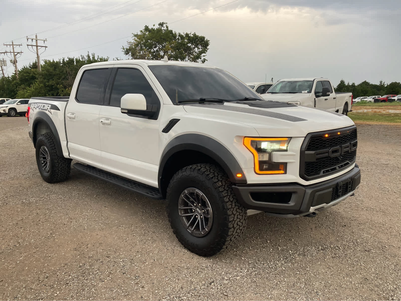 Used 2019 Ford F150 Raptor w/ Equipment Group 802A Luxury AWD/4WD image 9