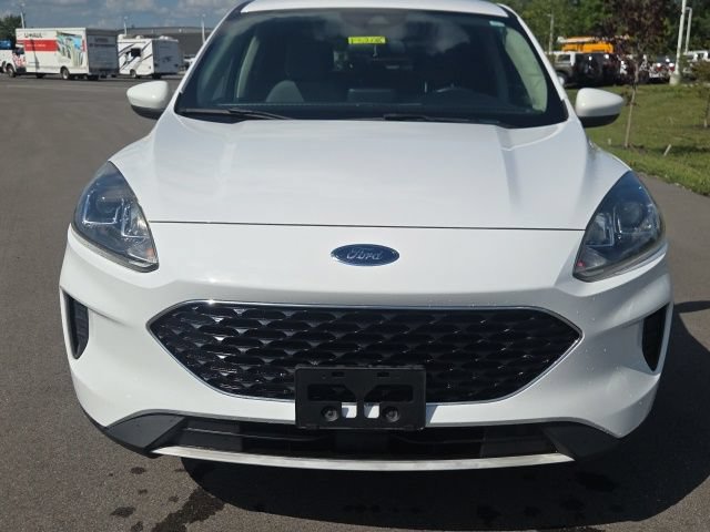 Used 2020 Ford Escape SE AWD/4WD image 3