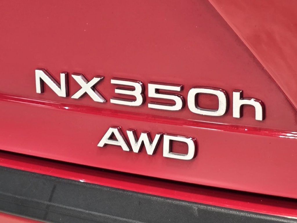 Used 2024 Lexus NX 350h AWD image 6