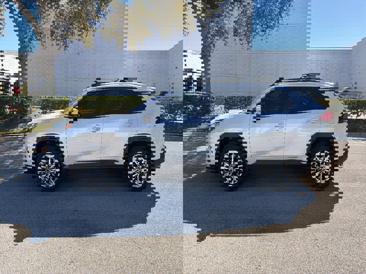 Used 2025 Toyota RAV4 XLE Premium image 2