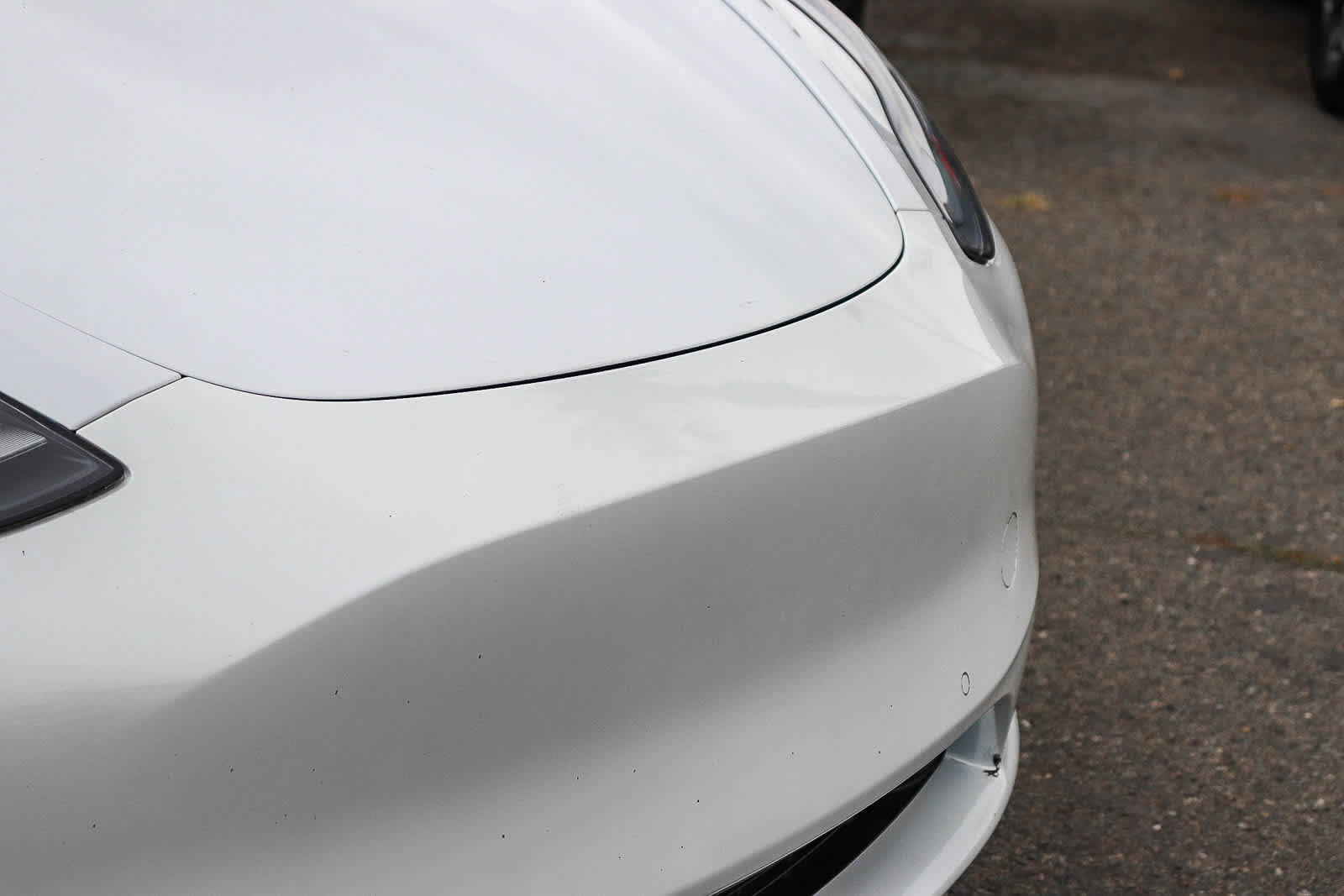 Used 2022 Tesla Model Y Performance AWD/4WD image 5