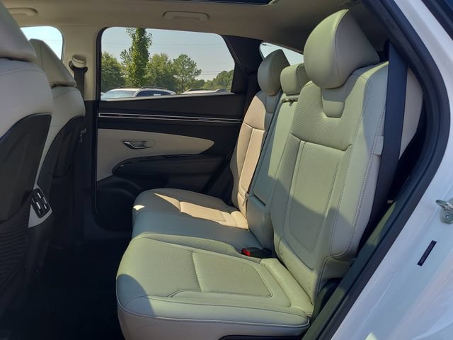 Used 2024 Hyundai Tucson Limited AWD/4WD image 13