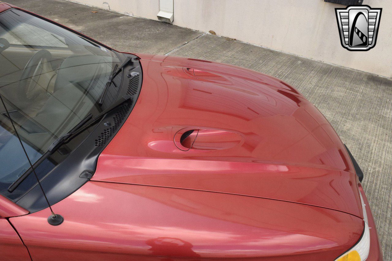 Used 1998 Ford Mustang Cobra image 13