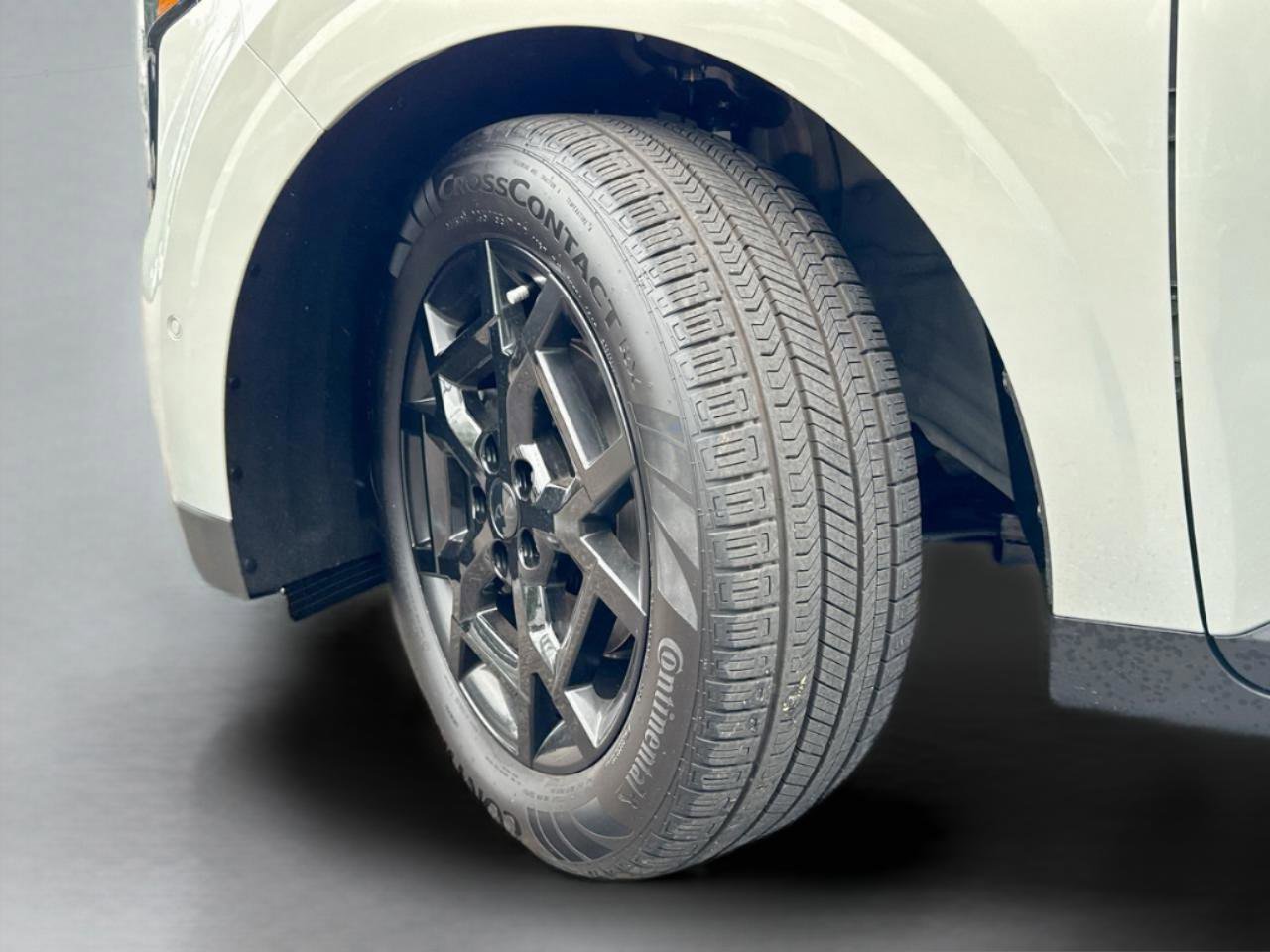 New 2025 Kia Carnival SX Prestige image 34