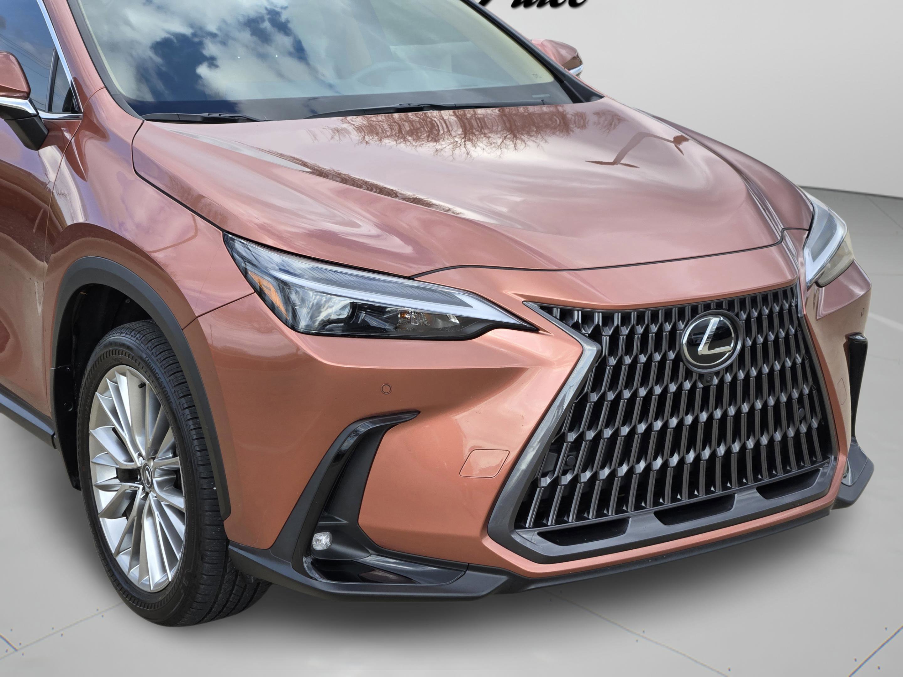 Used 2025 Lexus NX 350 Premium Package image 8