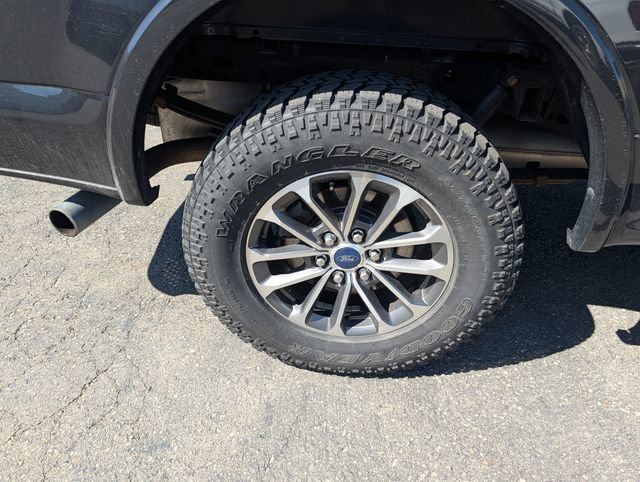 Used 2019 Ford F150 XLT w/ Equipment Group 302A Luxury AWD/4WD image 7