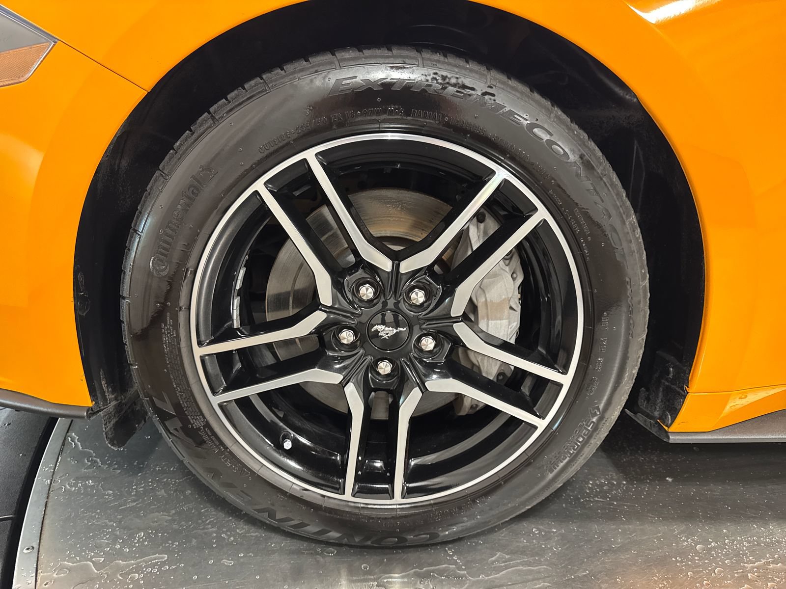 Used 2019 Ford Mustang GT RWD image 2