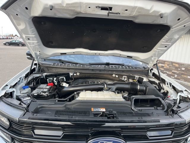 Used 2025 Ford Expedition Max Platinum image 23