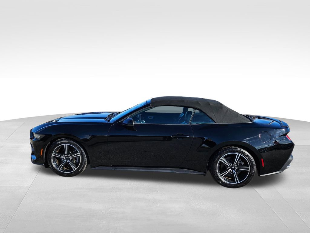 Used 2024 Ford Mustang Premium image 10