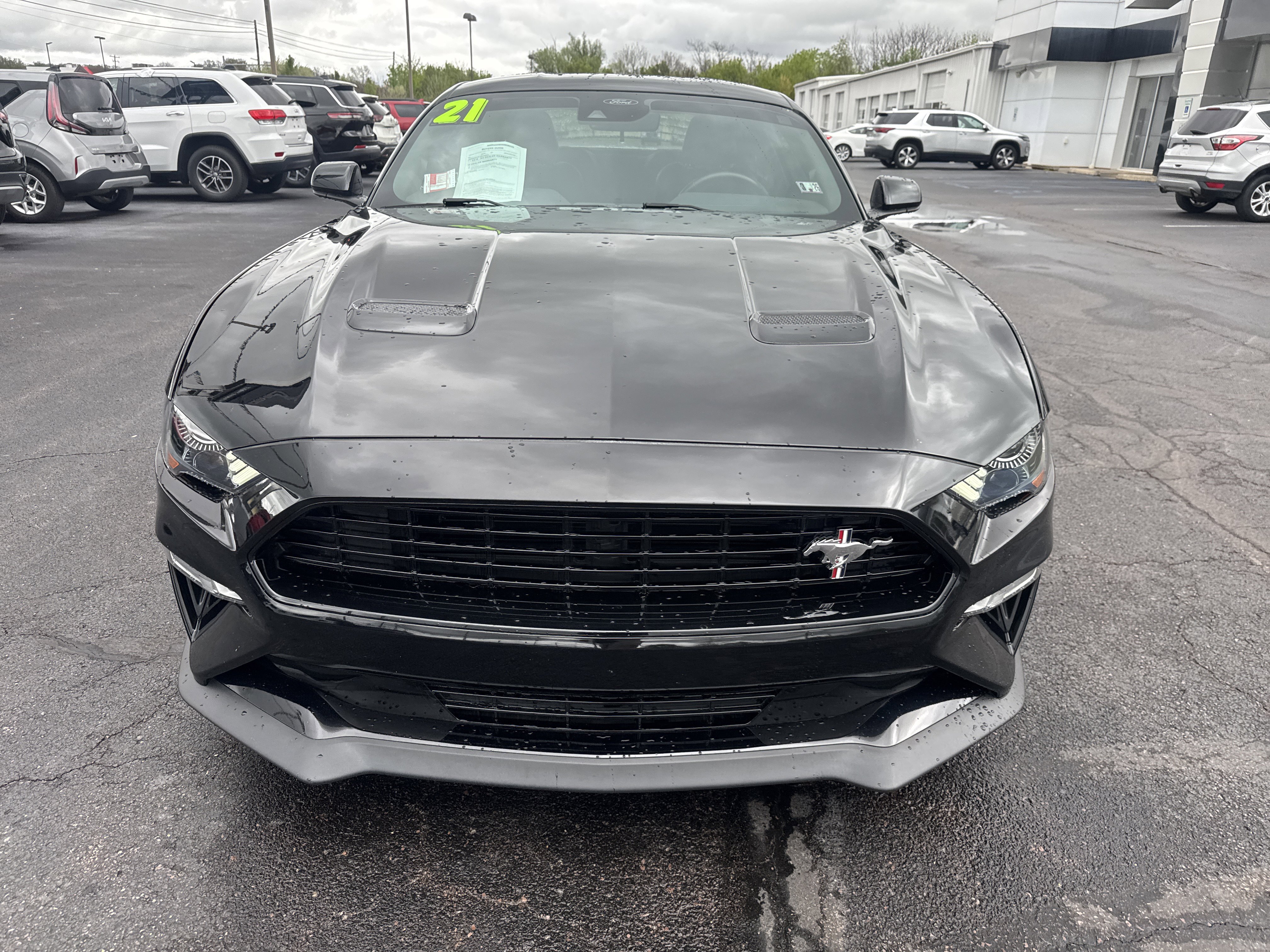 Used 2021 Ford Mustang GT Premium w/ California Special Package RWD image 9