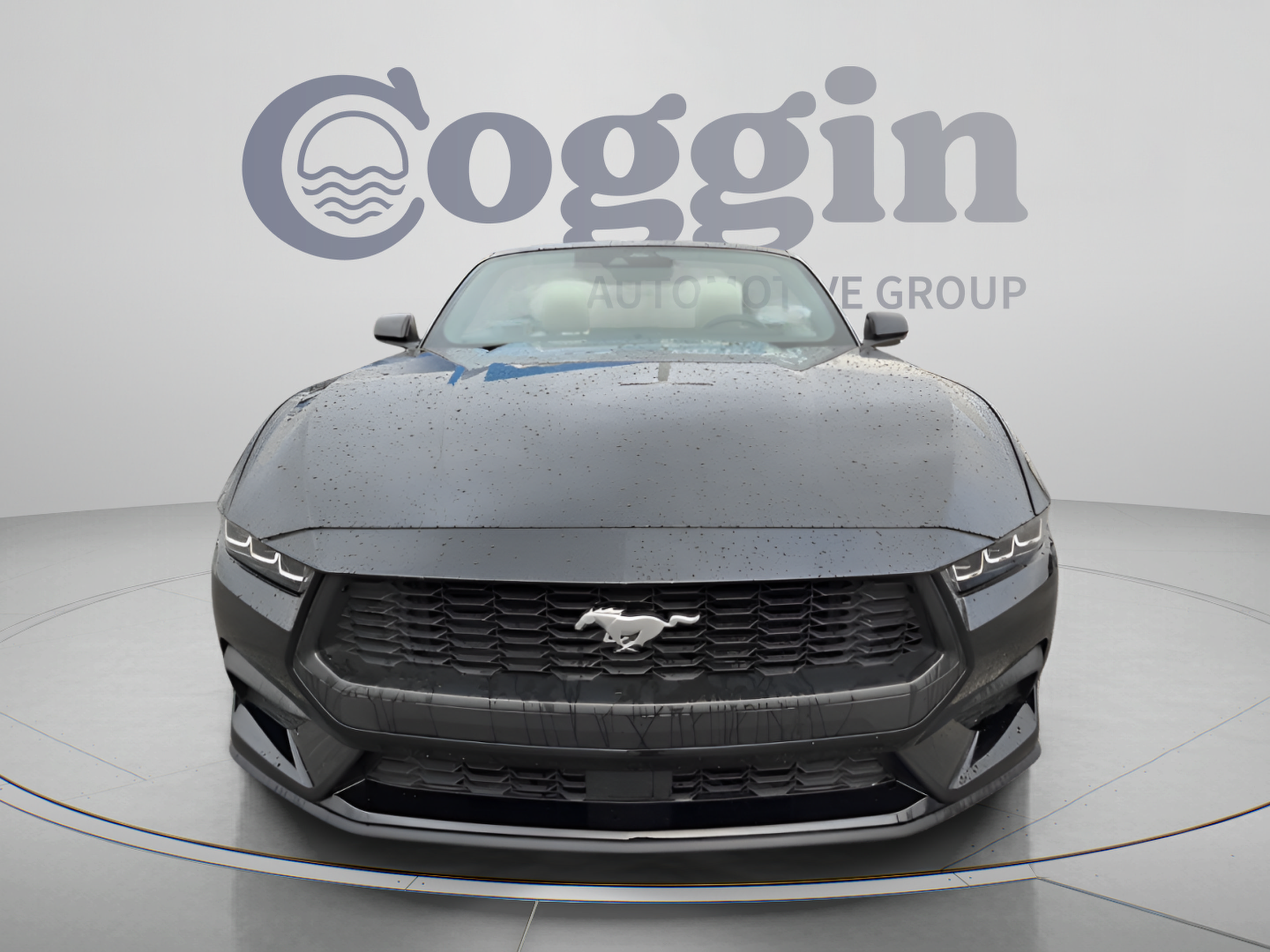 Used 2024 Ford Mustang Premium RWD image 8