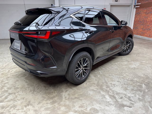 Used 2024 Lexus NX 350h AWD w/ Premium Package image 5